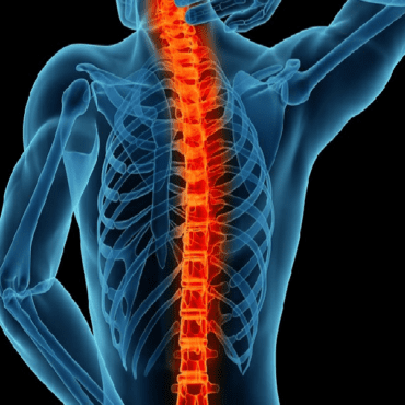 Spine Care Program