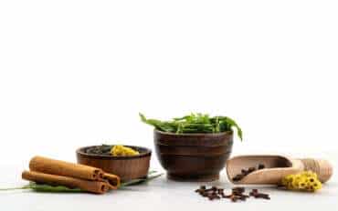 Visit to an Ayurvedic Herbal Health Center – What to Expect?